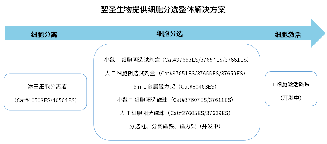 screenshot_2025-06-13_09-51-03.png