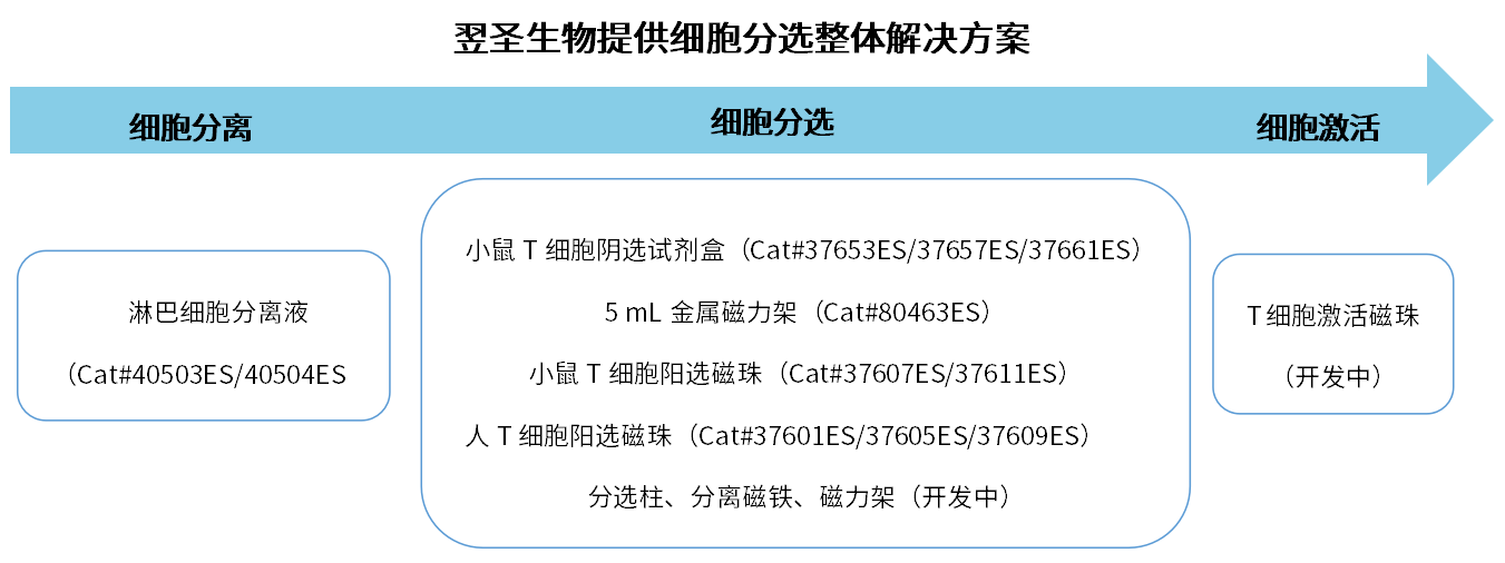 screenshot_2025-06-13_09-51-03.png